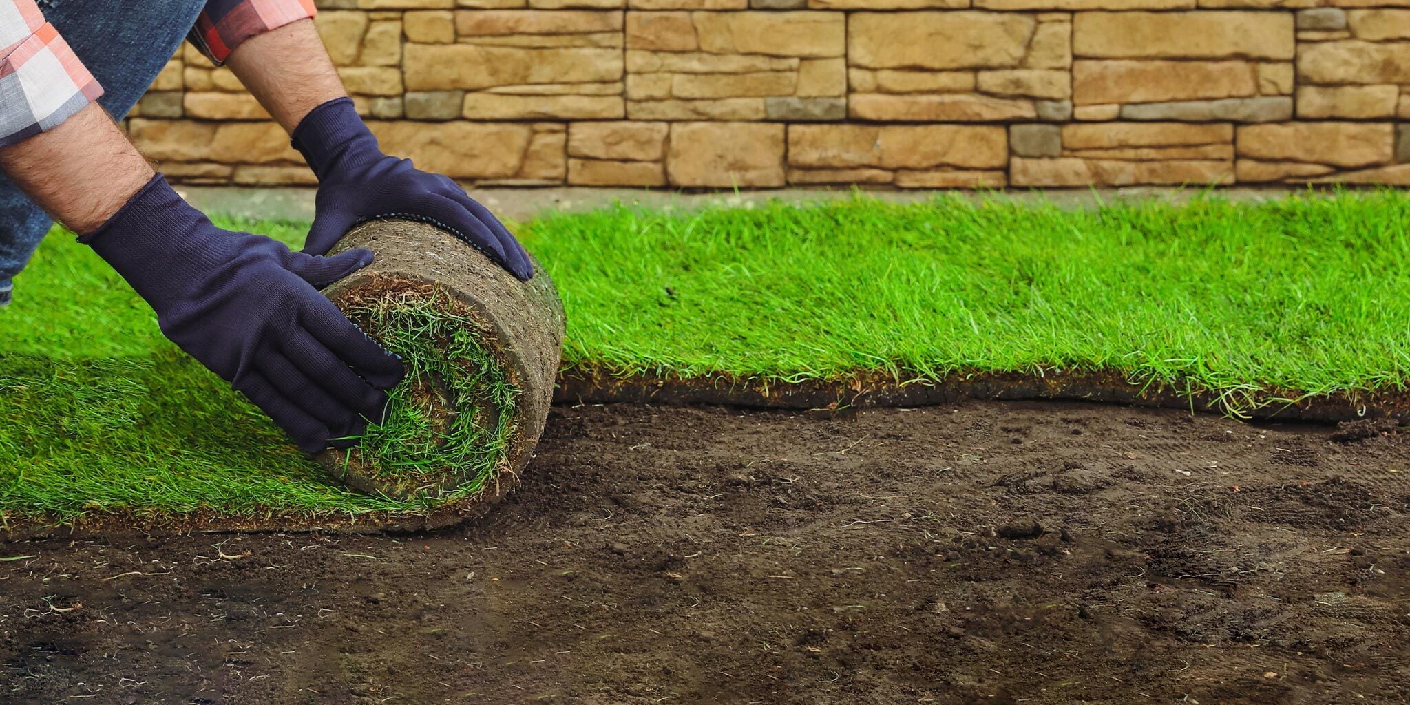 Fresh From Farm to Lawn